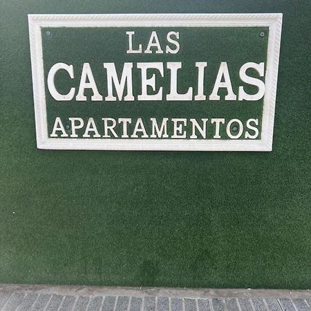 Yumbo Appartamenti Las Camelias Playa Del Ingles Exterior photo